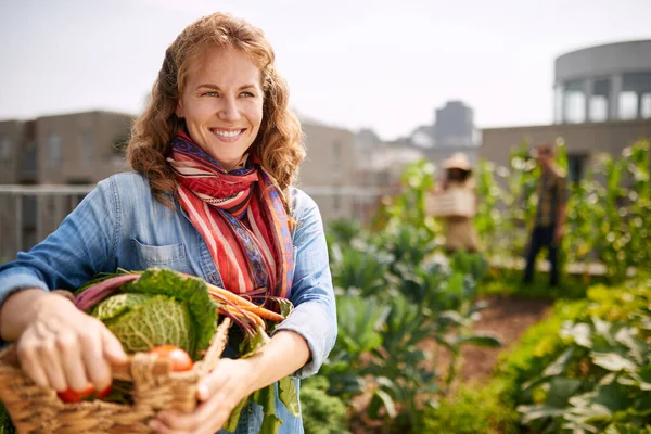 Femme amicale récoltant des légumes frais dans le jardin de serre sur le toit — Photo