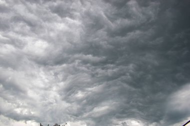 Elinde kamerayla gökyüzüne bakan bir çocuk.