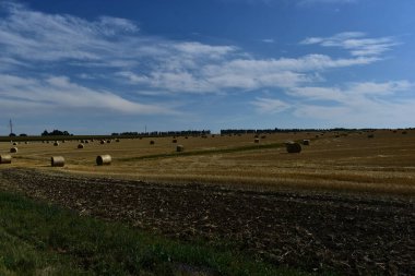 Büyük balyalarda saman tarlada yatıyor.