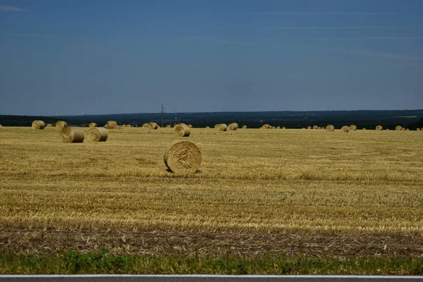 Paille Grosses Balles Trouve Sur Terrain — Photo