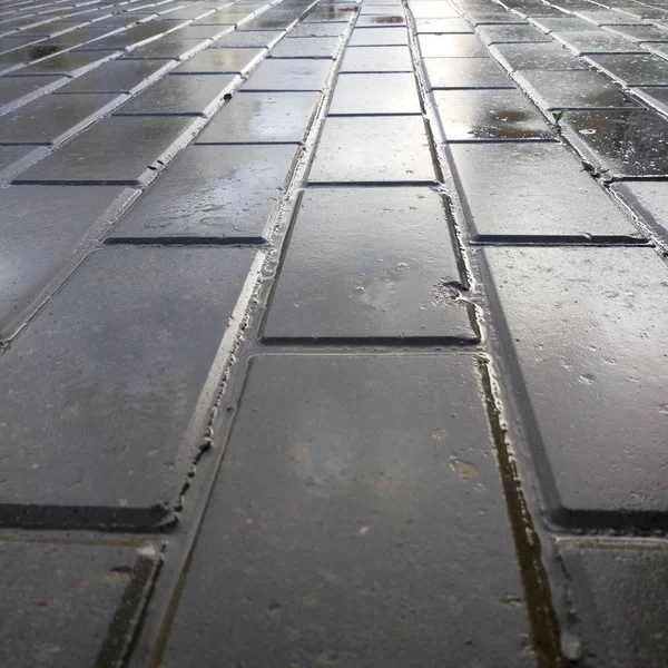 雨の日に濡れた舗装石 — ストック写真
