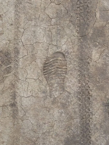 Footprints Dry Brown Ground — Stock Photo, Image