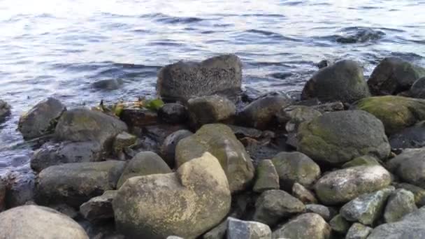 Small Waves Rocky Shore — Stock Video