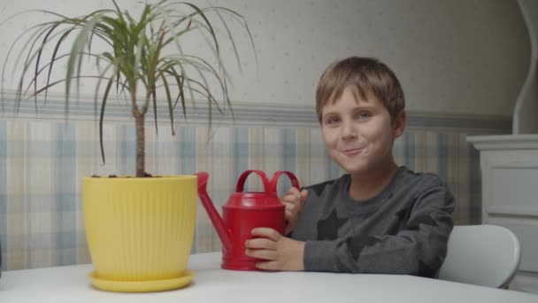 Boy with watering can and potted palm tree is very excited. Very happy kid jumping while sitting at the table in slow motion — Stock Video