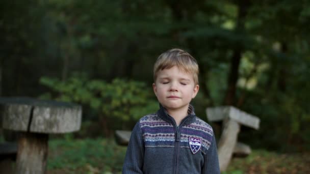 Young blonde boy in cardigan walking straight on camera in autumn forest. Shoot in slow motion, steadicam. — Stock Video
