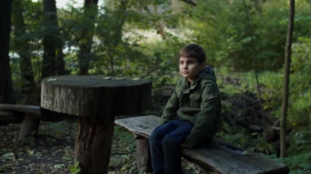 Nachdenklicher Junge, der auf der Bank im Wald sitzt und sich umschaut. Aufnahme per Steadicam in Zeitlupe. — Stockvideo