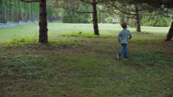 Два брата бегают в красивом осеннем парке в замедленной съемке. Мальчики играют и бегают в осеннем парке. Стреляйте со стабикамом . — стоковое видео