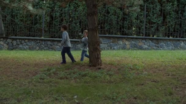 Two brothers running in beautiful autumn park in slow motion. Boys playing and running in fall park. Shoot with steadicam. — Stock Video