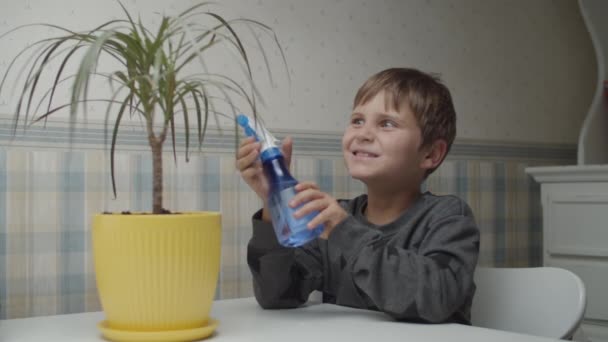 Boy watering potted palm tree with red watering can sitting at the table in slow motion. Very happy kid moistening the plant in pot. — Stock Video