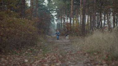 Aktif Sibirya Husky 'si, sonbahar ormanında sarışın çocukla ağır çekimde koşuyor.. 