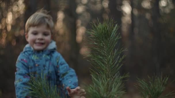 Ceketli sarışın çocuk çam ağacına dokunuyor Sonbahar parkında elleri ağır çekimde. — Stok video