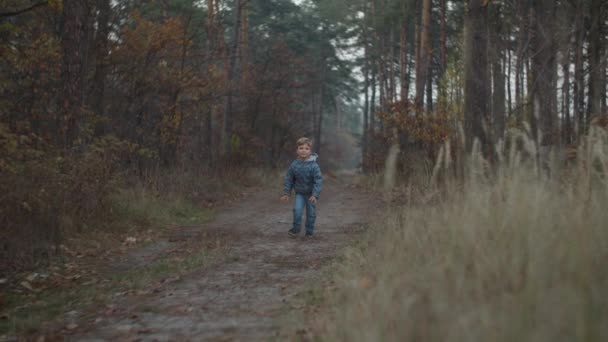 Kid in jacket coming by fall forest path in slow motion. Face of child approaching to camera. — Stock Video