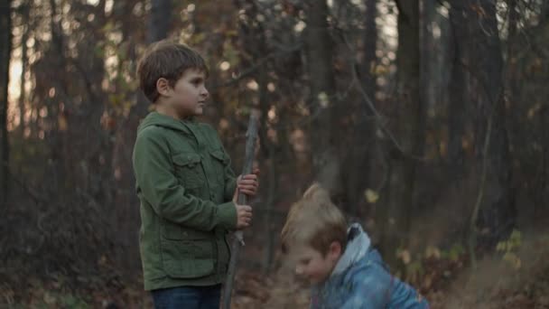 Two boys in jackets collecting dry tree branches in fall park on sunset in slow motion. — Stock Video