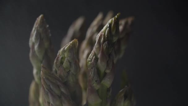 Macro view of rotating fresh green asparagus bunch watering on dark background, slow motion. Close up of green asparagus top vegetable rotation. — Stock Video
