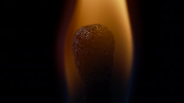 Κοντινό πλάνο ενός κεφαλιού που καίγεται σε μαύρο φόντο. Σπίρτα ανάβουν σε αργή κίνηση. Ανάφλεξη φωτιάς με σπίρτα. Μακροσκοπική προβολή. — Αρχείο Βίντεο