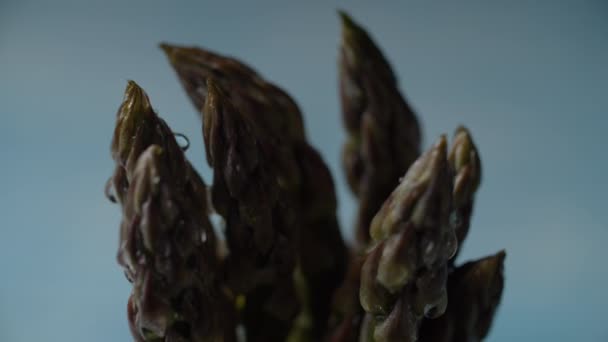 Macro vista di ruotare grappolo di asparagi verdi freschi su sfondo brillante, rallentatore. Primo piano della rotazione vegetale superiore degli asparagi verdi . — Video Stock
