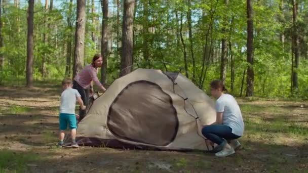 Två pojkar hjälper två mammor att sätta upp ett tält i skogen för sin lokala familjecamping turism. Familjeeko sommarturism. Slow motion, steadicam skott. — Stockvideo