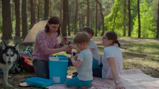 Дві мами і два сини п'ють холодні напої з холодильника на пікніковій ковдрі під час літніх сімейних канікул з наметом у лісі. Щаслива сім'я з сибірським хаскі-собакою. Стедікам стріляв.. — стокове відео