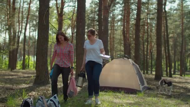 Two young 30s mothers walking with Siberian Husky dog to sons laying on picnic blanket on summer camping vacation with tent in forest. Slow motion, steadicam shot. — Stock Video