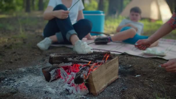 Zbliżenie żeńskich rąk trzymających pałeczki z piankami w ogniu. Dwie kobiety i dwóch chłopców urządzających letni piknik w lesie. Zwolnij, Steadicam shot. — Wideo stockowe