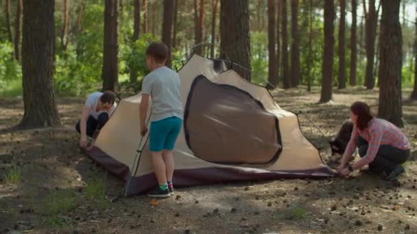 Two women and two boys having summer camping vacation in forest. Happy family of two mothers and two sons put up tent for camping. Slow motion, steadicam shot. — Stock Video