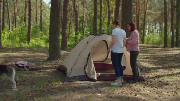 Duas mulheres e dois rapazes a acampar na floresta. Família feliz de duas mães e dois filhos brincando na tenda para acampar. Movimento lento, steadicam tiro . — Vídeo de Stock