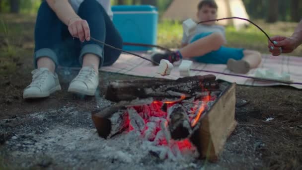 Detailní záběr ženských rukou držících tyčinky s marshmallows v plamenech. Dvě ženy a dva chlapci mají letní piknik v lese. Zpomalený záběr steadicamu. — Stock video