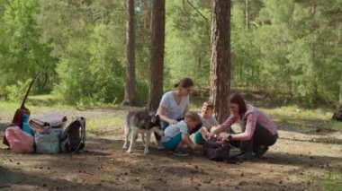 İki çocuk, iki anneye ormanda kamp yapmak için çadır kurmalarında yardım ediyor. Aile ekonomisi yaz turizmi. Yavaş çekim, sabit çekim.. 
