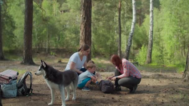 Two women and two boys having summer camping vacation in forest. Happy family of two mothers and two sons put up tent for camping. Slow motion, steadicam shot. — Stock Video