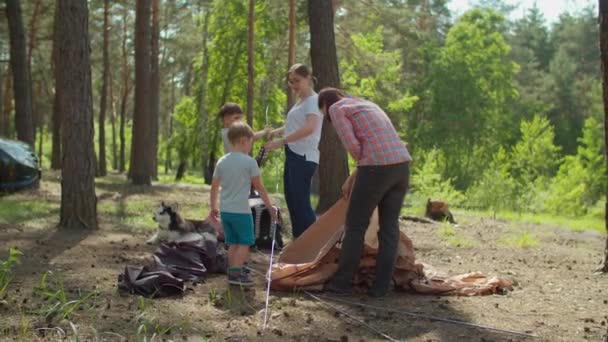 Dwóch chłopców pomaga dwóm mamom rozbić namiot w lesie dla lokalnej rodzinnej turystyki kempingowej. Rodzinna ekologiczna turystyka letnia. Zwolnij, Steadicam shot. — Wideo stockowe