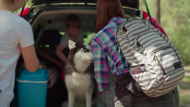 Δύο γυναίκες, δύο αγόρια και ο Σιβηριανός Χάσκι σκύλος σε καλοκαιρινές διακοπές κάμπινγκ. Ευτυχισμένη οικογένεια δύο μητέρων και δύο γιων που παίρνουν τσάντες από το πορτ-μπαγκάζ του αυτοκινήτου και περπατούν στο δάσος. Αργή κίνηση, σταθερή βολή.. — Αρχείο Βίντεο