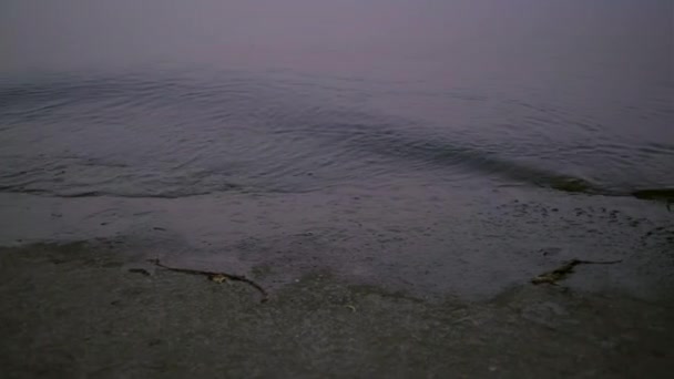 Giovane donna anni 30 in abito nero posa su parapetto dall'acqua al tramonto. A piedi nudi signora godere di relax da solo da sera stagno. — Video Stock