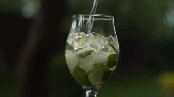 Zamknij obracające się szkło świeżą lemoniadą. Wolny ruch obrotowy chłodnego napoju. Woda sodowa wlewająca się do szklanki z cytrynami i miętą. — Wideo stockowe