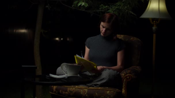 Young 30s female teacher checking students works late at night sitting in cozy armchair with floor lamp in the backyard. Woman making notes in documents. — Stock Video