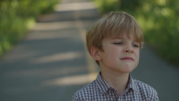 Børnehaveklasse dreng i trøje smilende, ser til kamera, stående i byens park om sommeren. Kid portræt udenfor. – Stock-video