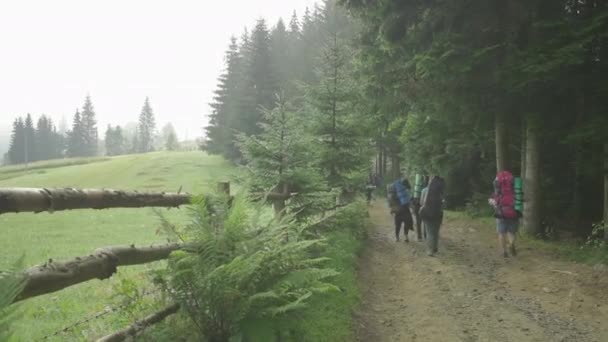 Skupina turistů s batohy šplhajícími na horu v zamlženém ránu. Lidé kráčející po horské stezce. Kempování cestovního ruchu. — Stock video