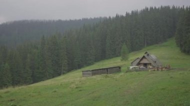 Manzaralı dağ köyü manzaraları. Bulutlu bir günde çayırın ortasında eski bir dağ ahşap evi..