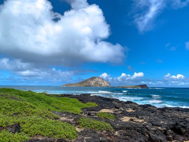 güneşli bir günde pitoresk deniz manzarası 