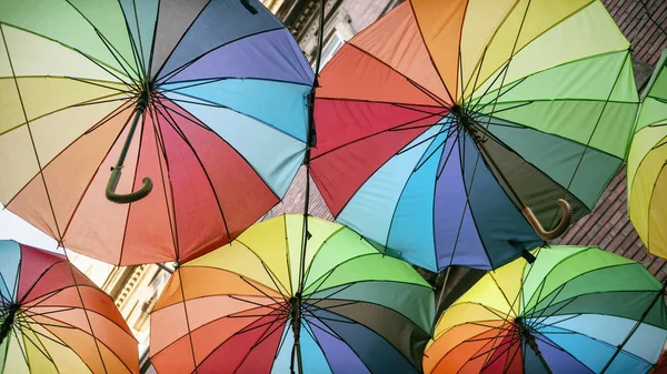 Street Decorated With Rainbow Color Umbrellas, Istanbul, Turkey