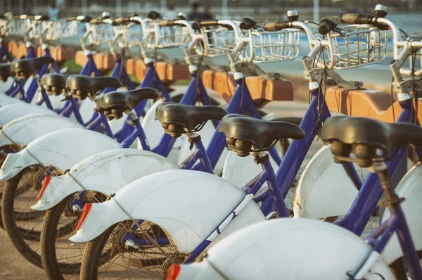 Julkinen Vuokra Pyörät Pysäköity Seaside — kuvapankkivalokuva