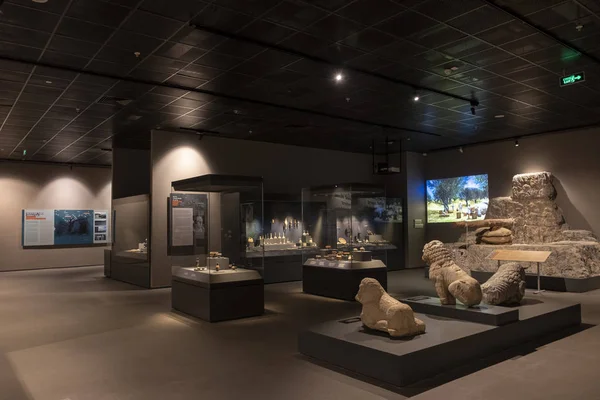 Mersin Turquia Outubro 2019 Detalhe Interior Museu Arqueologia Mersin Maior — Fotografia de Stock