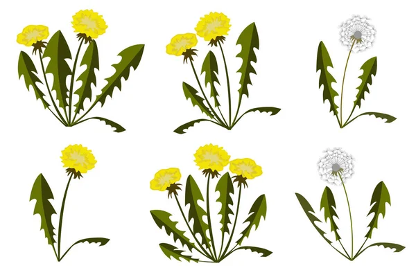 Florales Nahtloses Muster Hintergrund Vektorillustration — Stockvektor