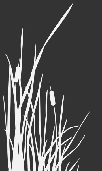 Schilf Florales Nahtloses Muster Hintergrund Vektorillustration — Stockvektor