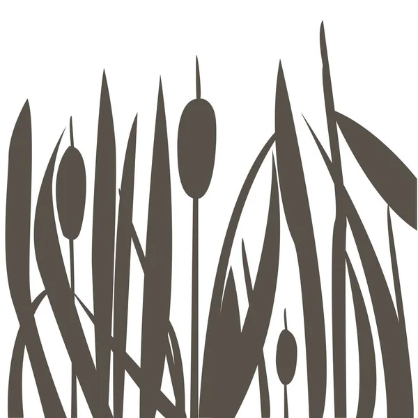 Silhouette Reed Bush — Stock Vector