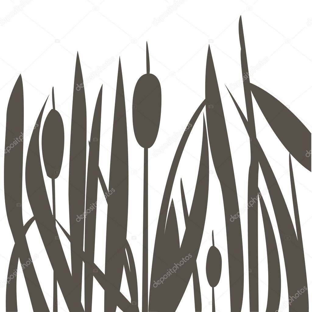 Silhouette of Reed Bush