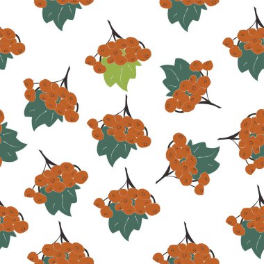 Kusursuz Rowan Spreyi Şablonu, eski geleneksel sanatsal tarz. Böğürtlenli Rowan Bunch. Vektör İllüstrasyonu 