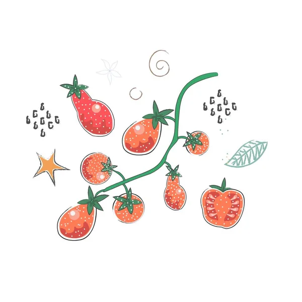 Niedliche Winter Ikone Mit Tomaten Handgezeichneter Skandinavischer Stil Vektorillustration — Stockvektor