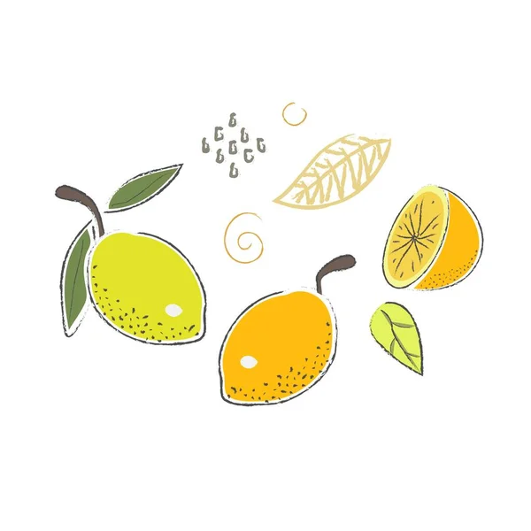 Lindo Icono Invierno Con Limones Estilo Escandinavo Dibujado Mano Ilustración — Vector de stock