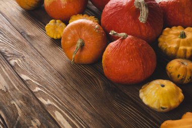 ahşap yüzeyde taze toplanmış kagılar 