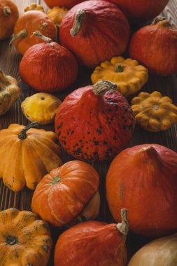 ahşap yüzeyde taze toplanmış kagılar 